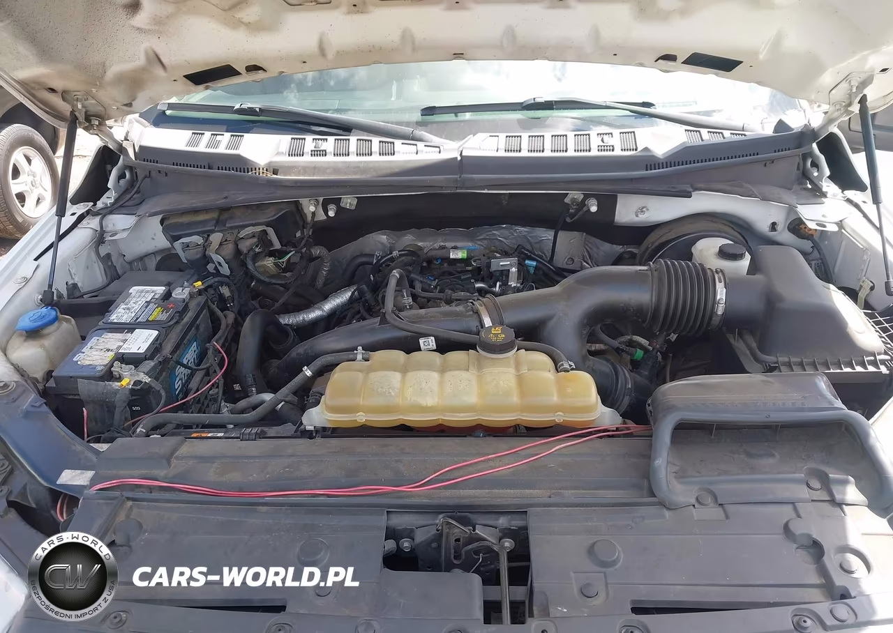 2019 Ford F-150 Xl VIN:1FTEX1CP0KKD18708 - 10