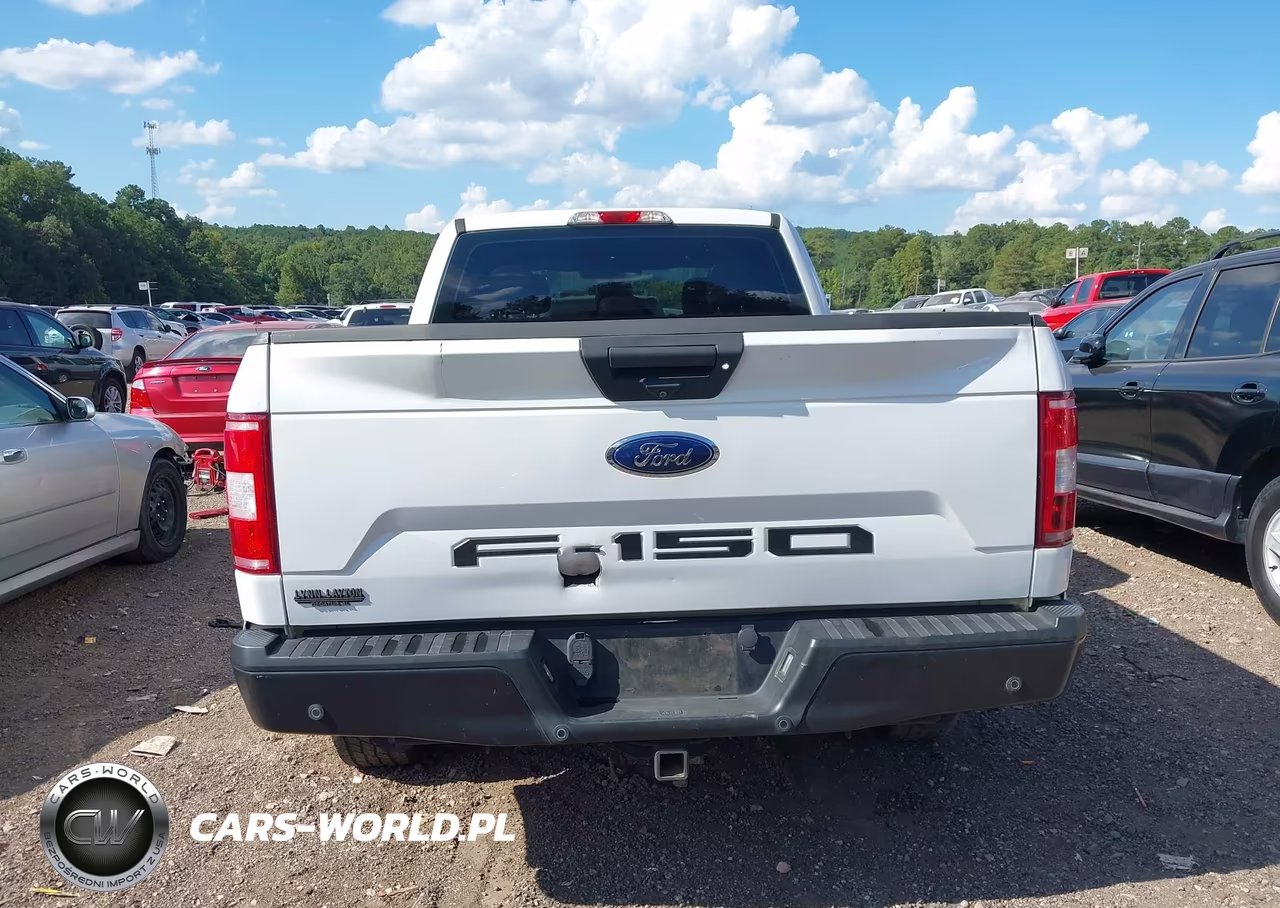 2019 Ford F-150 Xl VIN:1FTEX1CP0KKD18708 - 16