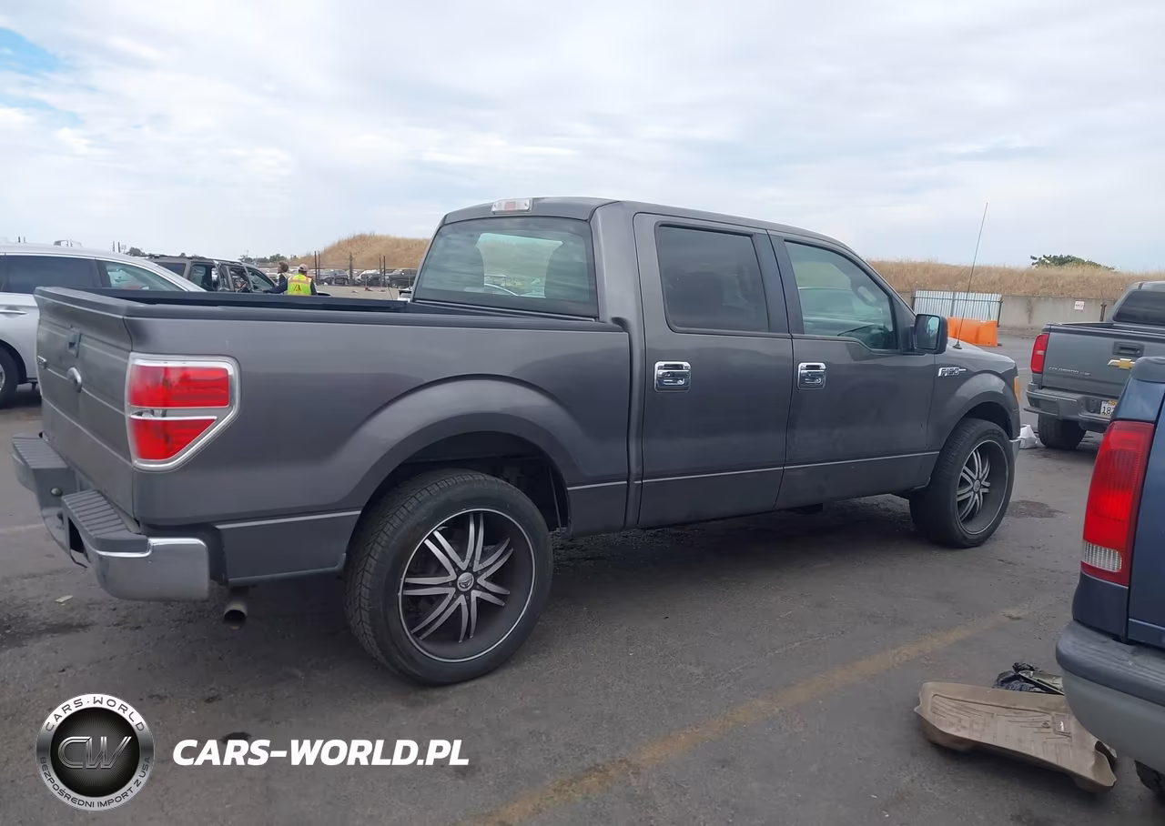 2010 Ford F-150 Xl VIN:1FTEW1CW7AKE76813 - 13