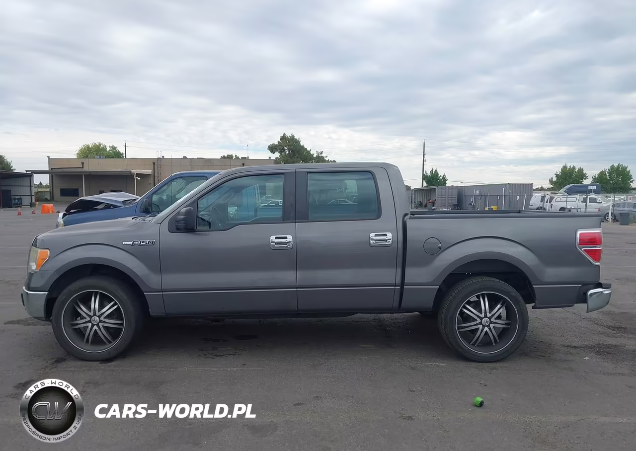 2010 Ford F-150 Xl VIN:1FTEW1CW7AKE76813 - 14