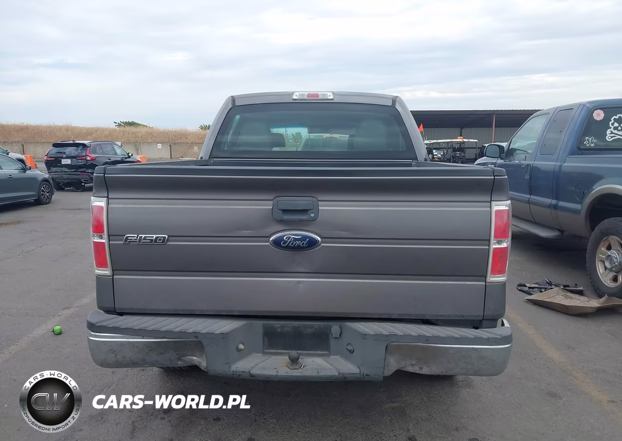2010 Ford F-150 Xl VIN:1FTEW1CW7AKE76813 - 16