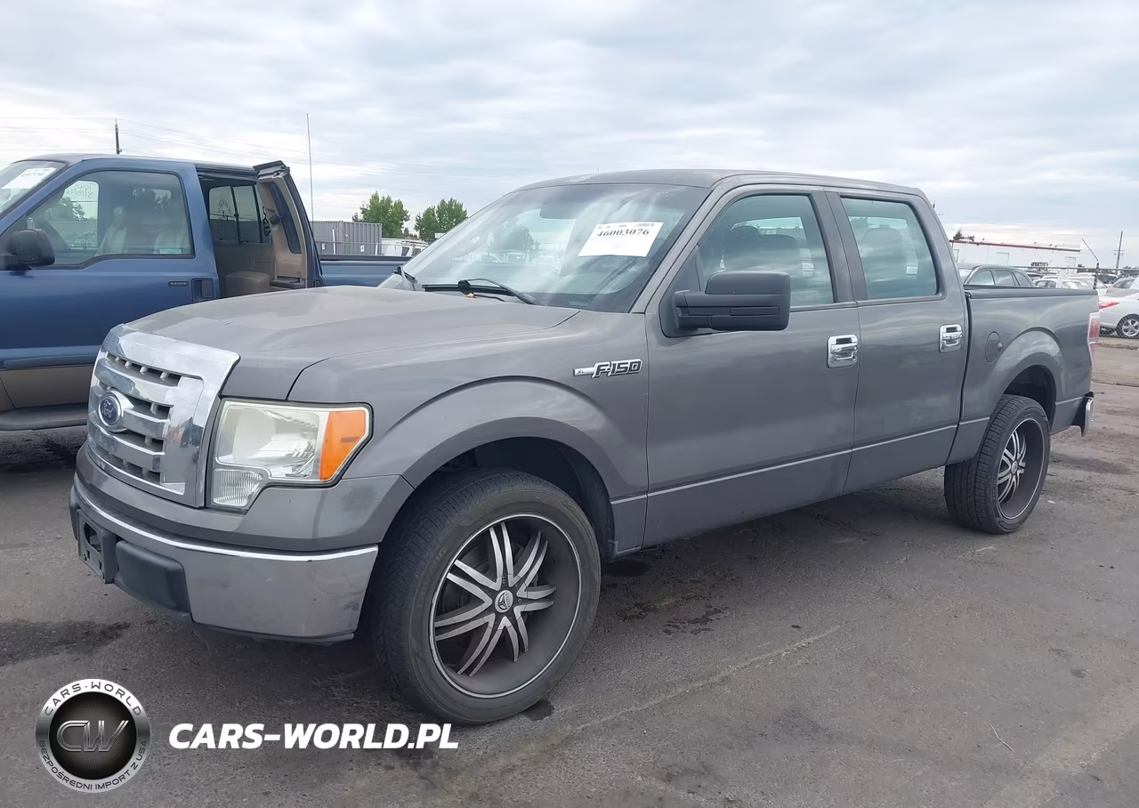 2010 Ford F-150 Xl VIN:1FTEW1CW7AKE76813 - 2