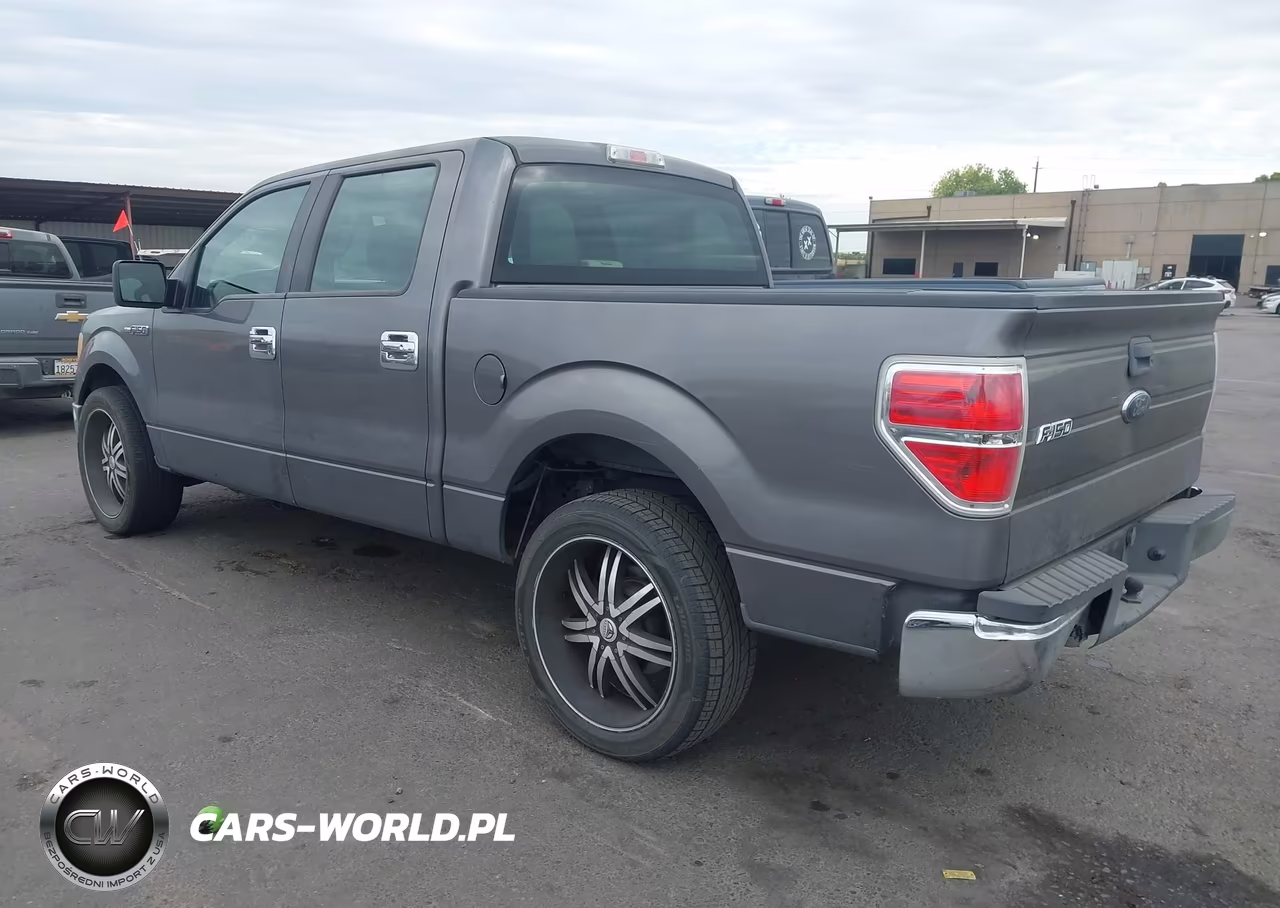 2010 Ford F-150 Xl VIN:1FTEW1CW7AKE76813 - 3