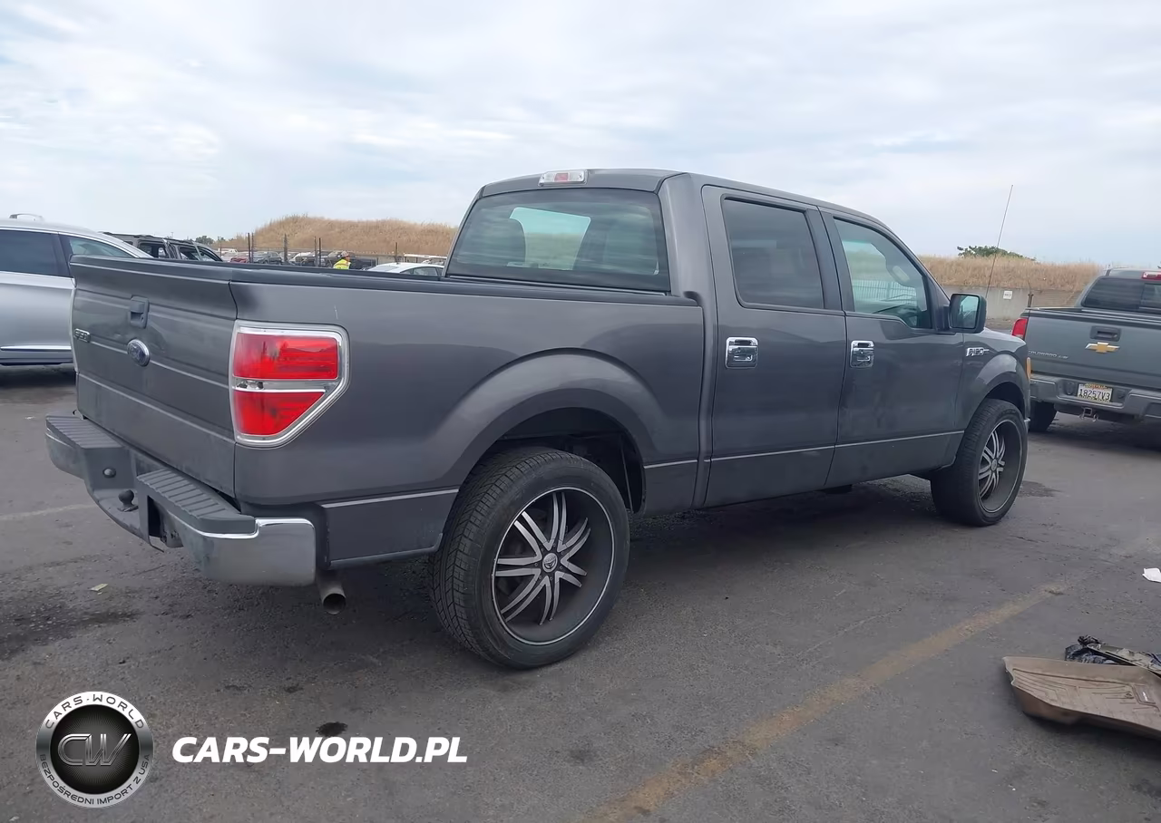 2010 Ford F-150 Xl VIN:1FTEW1CW7AKE76813 - 4