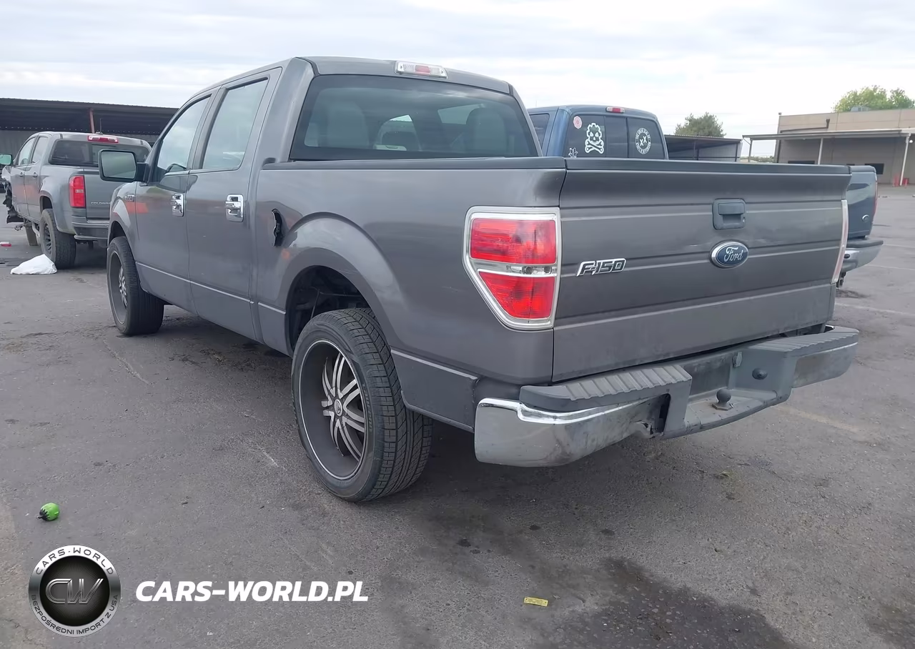 2010 Ford F-150 Xl VIN:1FTEW1CW7AKE76813 - 6