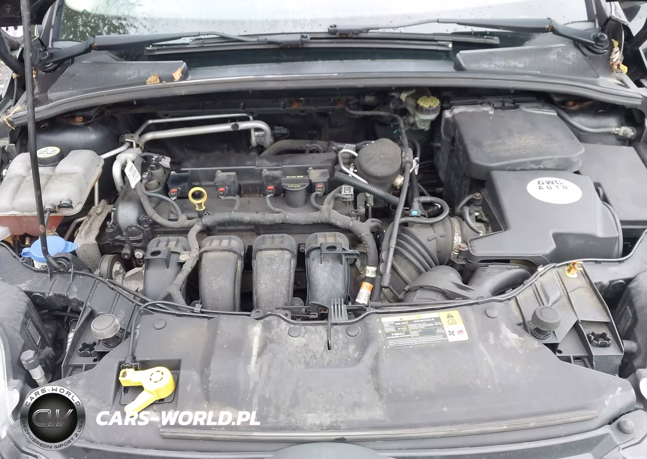 2013 Ford Focus Se VIN:1FADP3K29DL141592 - 10