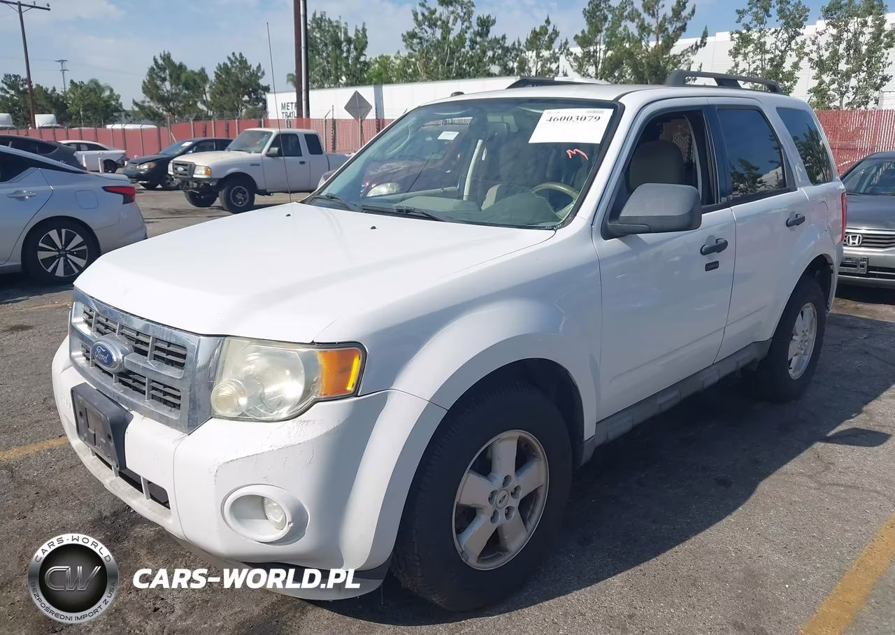 2011 Ford Escape Xlt VIN:1FMCU9D76BKB34561 - 2