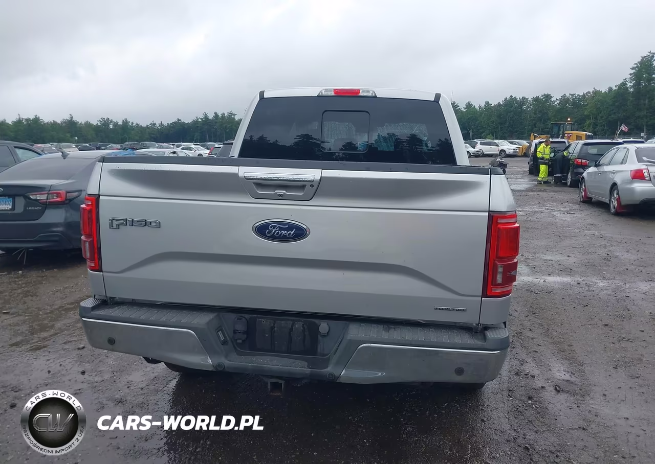2015 Ford F-150 Lariat VIN:1FTEW1EF7FFC07854 - 17