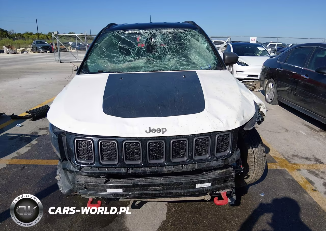 2020 Jeep Compass Trailhawk 4X4 VIN:3C4NJDDB6LT177875 - 12