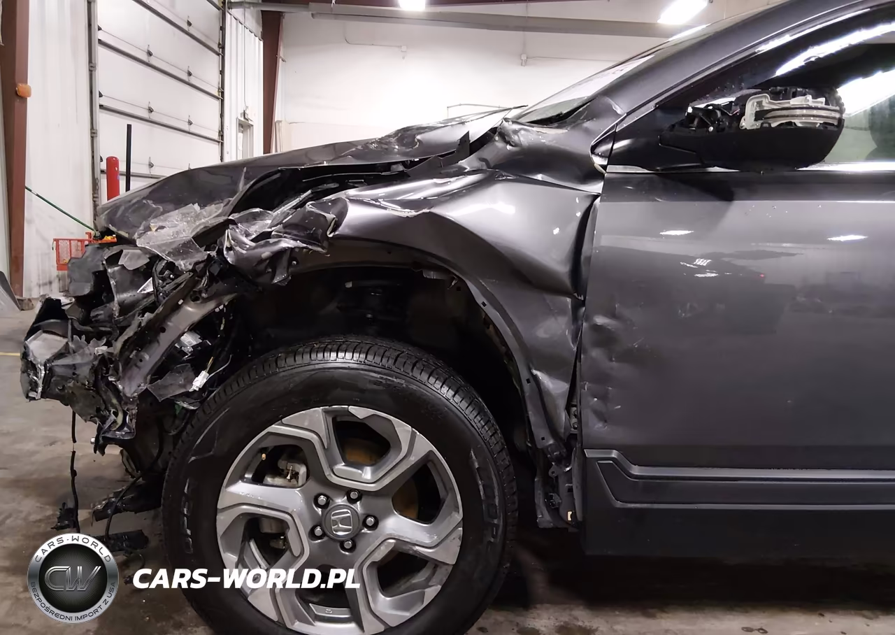 2019 Honda Cr-V Ex-L VIN:5J6RW2H89KL031822 - 18