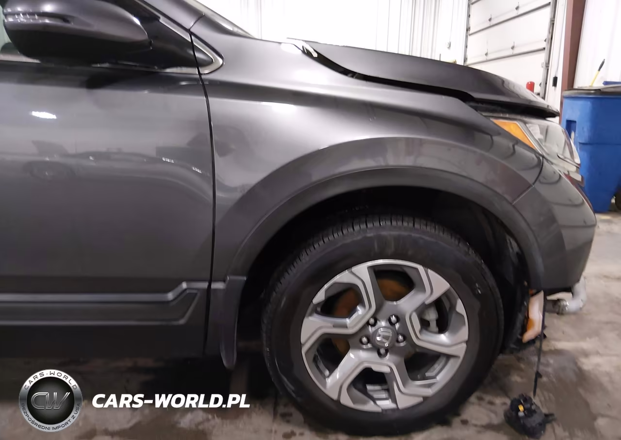 2019 Honda Cr-V Ex-L VIN:5J6RW2H89KL031822 - 19