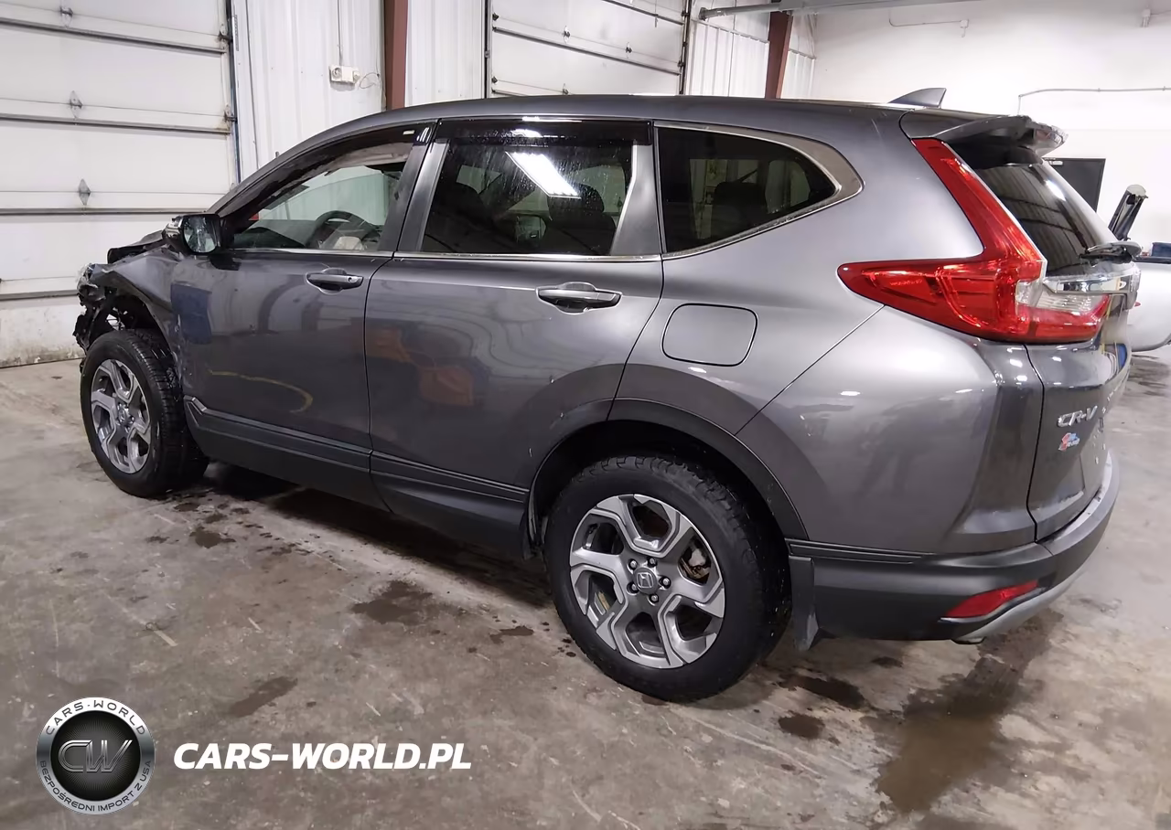 2019 Honda Cr-V Ex-L VIN:5J6RW2H89KL031822 - 3