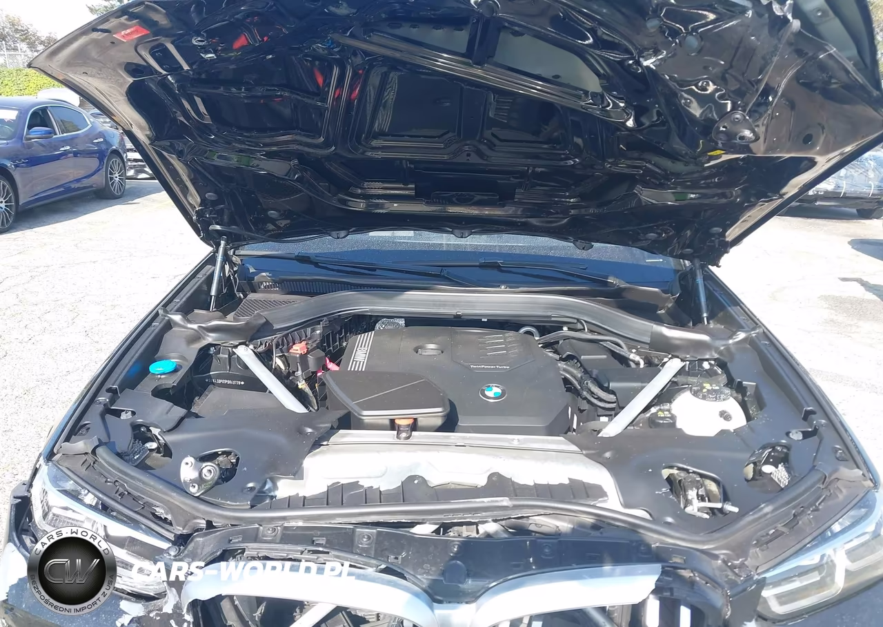 2023 BMW X3 Sdrive30I VIN:5UX43DP01P9R49728 - 10