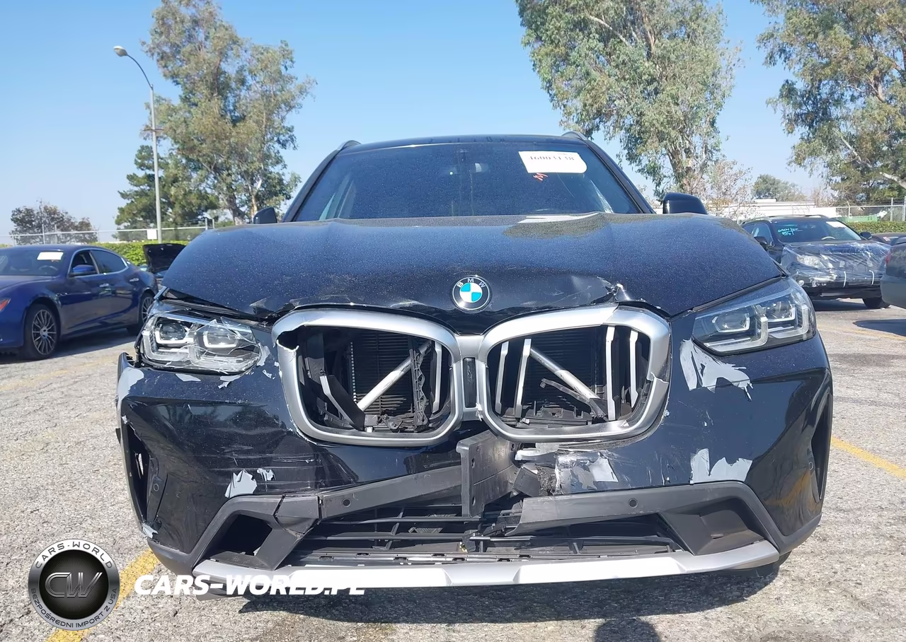 2023 BMW X3 Sdrive30I VIN:5UX43DP01P9R49728 - 12