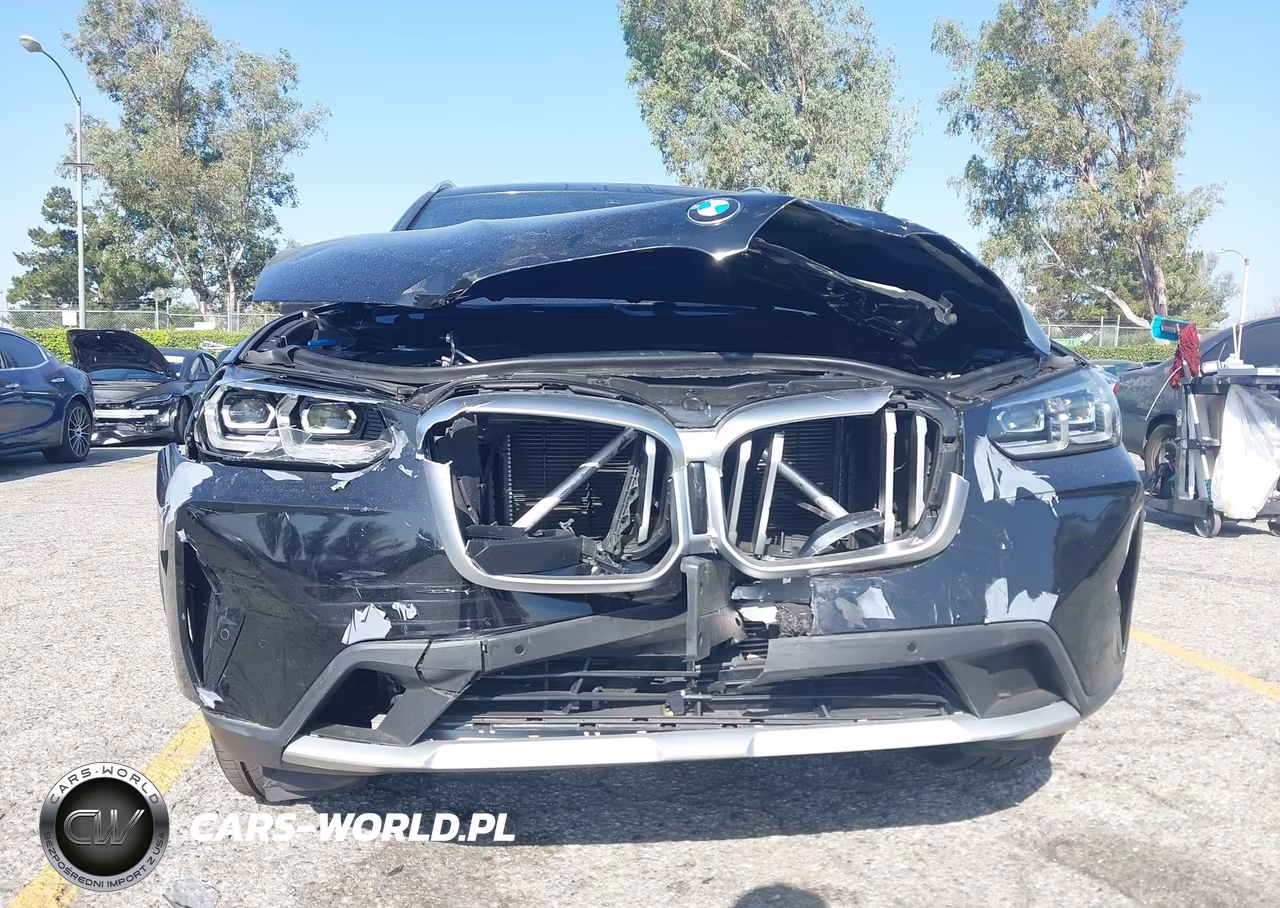 2023 BMW X3 Sdrive30I VIN:5UX43DP01P9R49728 - 6