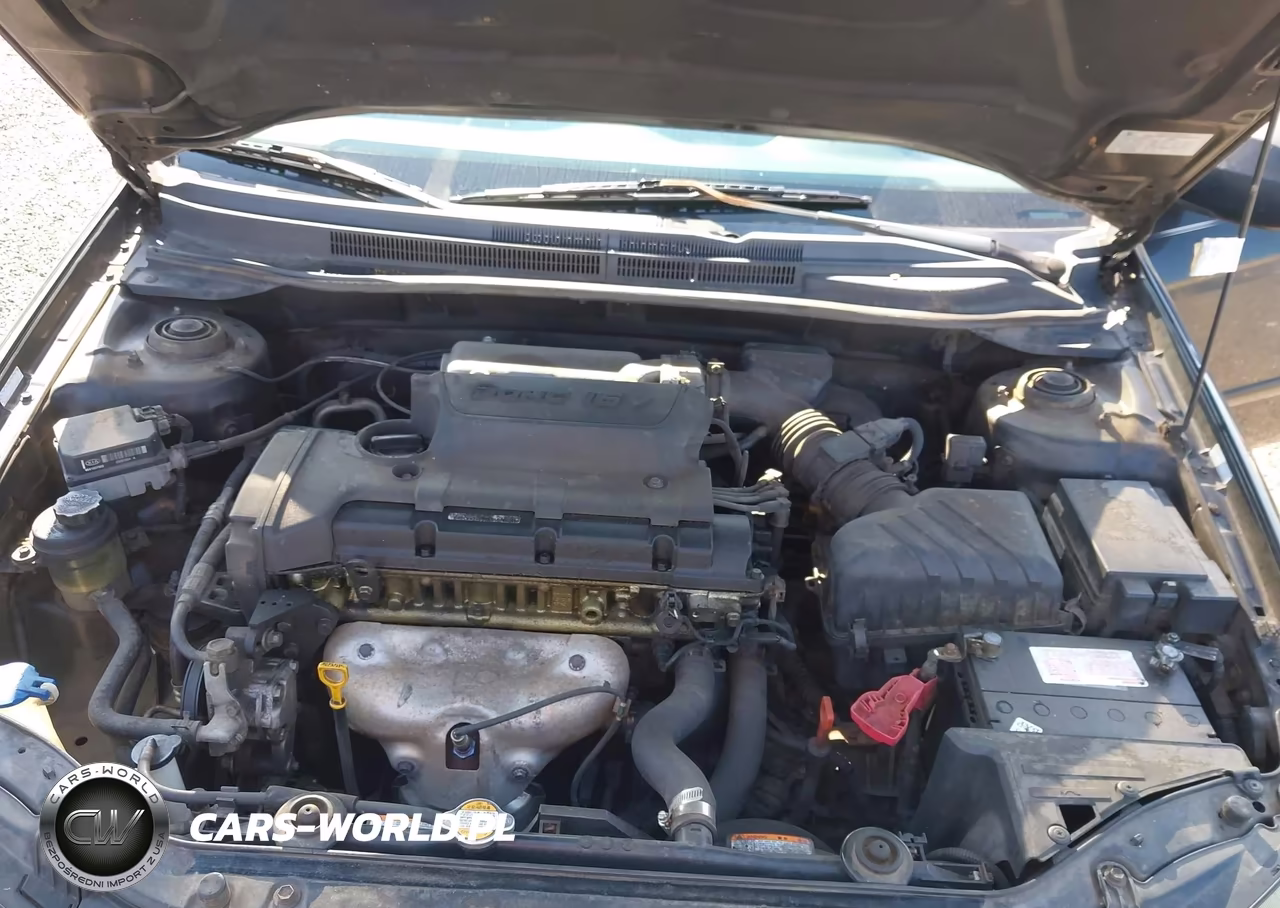 2009 Kia Spectra Ex VIN:KNAFE221295597050 - 10