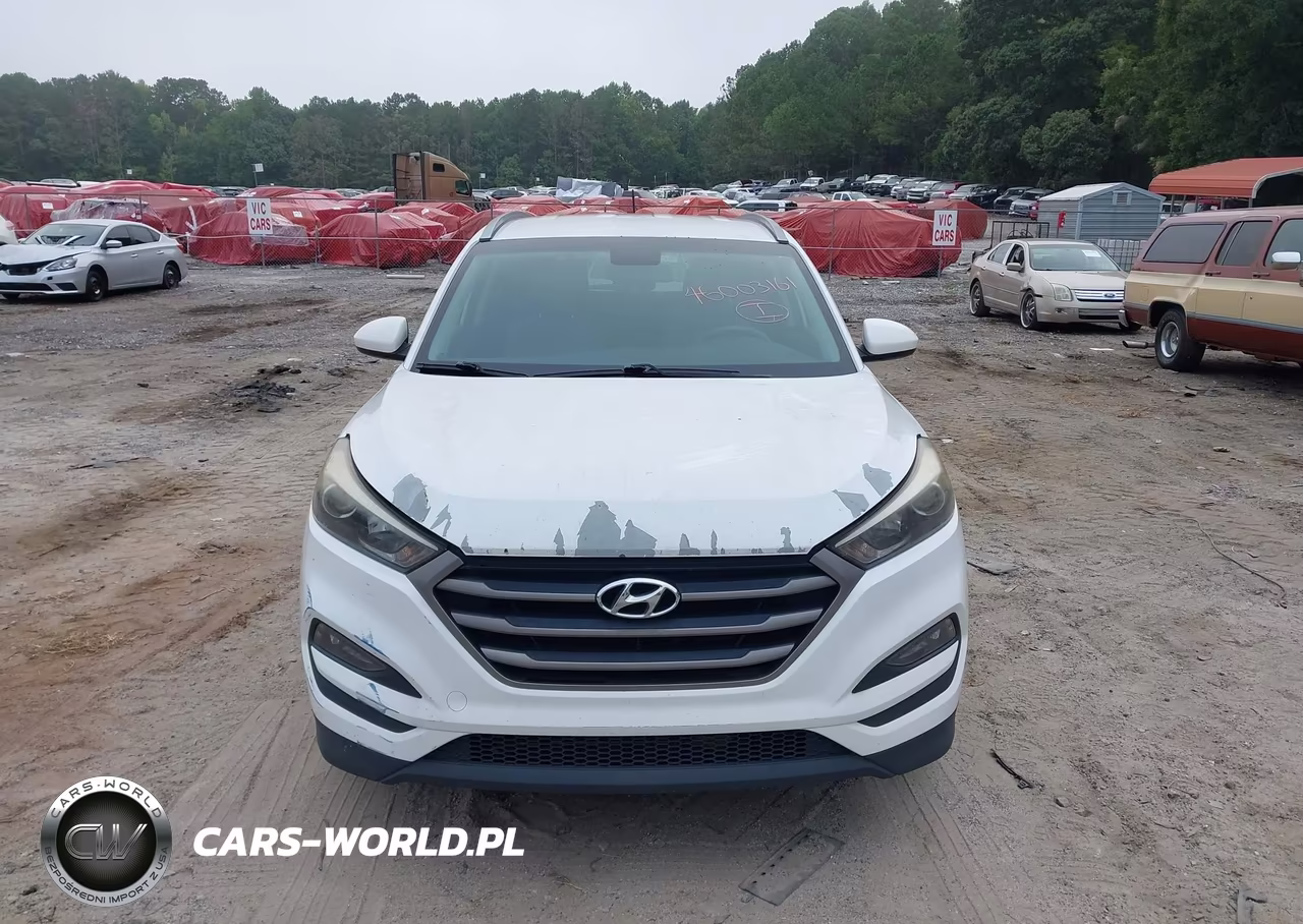 2016 Hyundai Tucson Se VIN:KM8J33A42GU102171 - 12