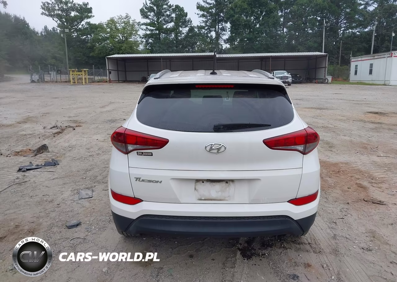 2016 Hyundai Tucson Se VIN:KM8J33A42GU102171 - 16