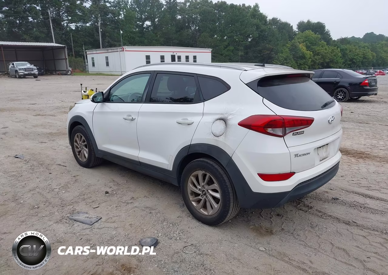 2016 Hyundai Tucson Se VIN:KM8J33A42GU102171 - 3