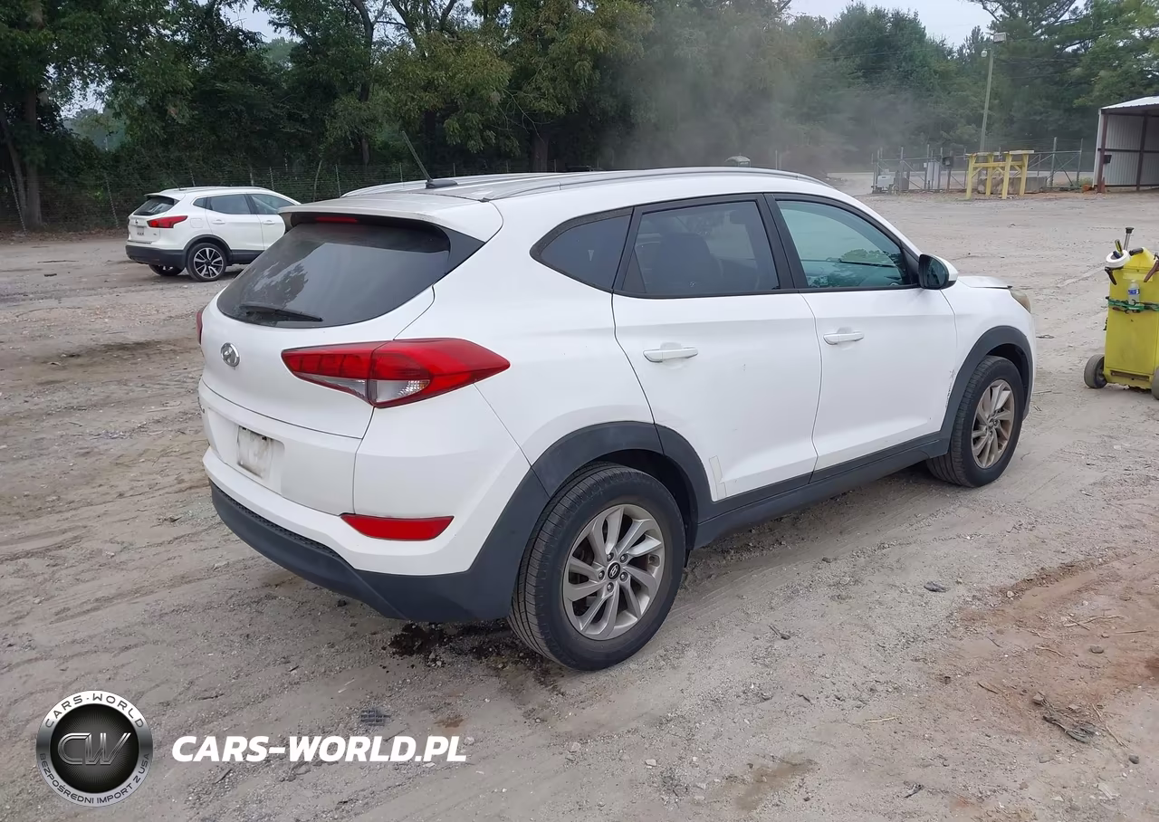 2016 Hyundai Tucson Se VIN:KM8J33A42GU102171 - 4