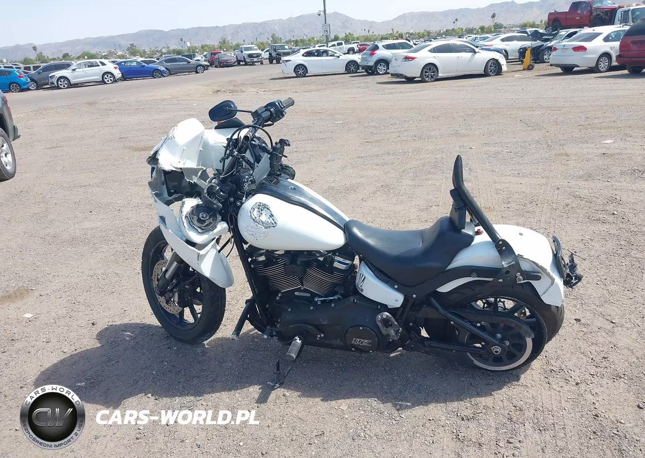 2025 Harley-Davidson Fxlrs VIN:1HD1YWA11SB035997 - 12