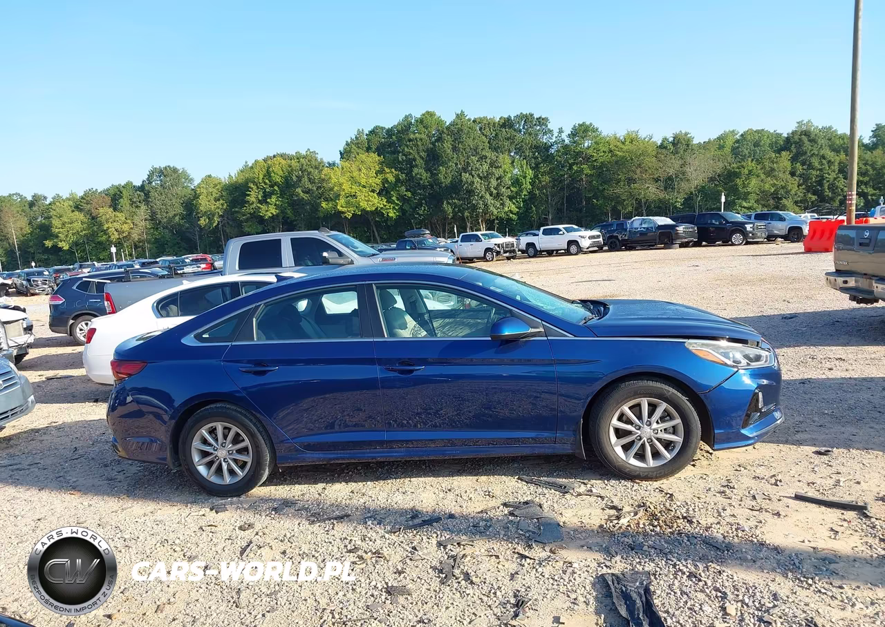 2019 Hyundai Sonata Se VIN:5NPE24AF3KH729741 - 13