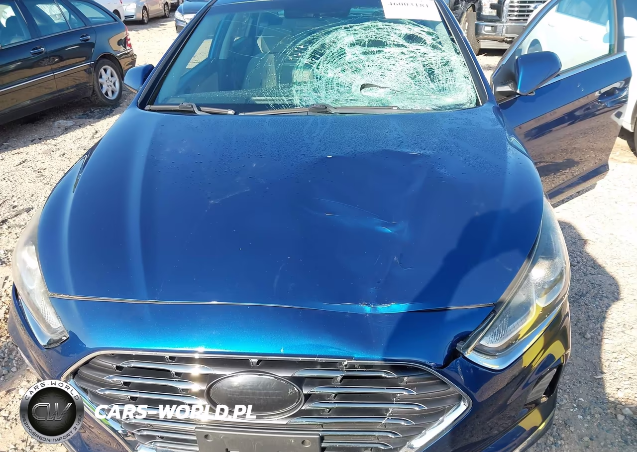 2019 Hyundai Sonata Se VIN:5NPE24AF3KH729741 - 6
