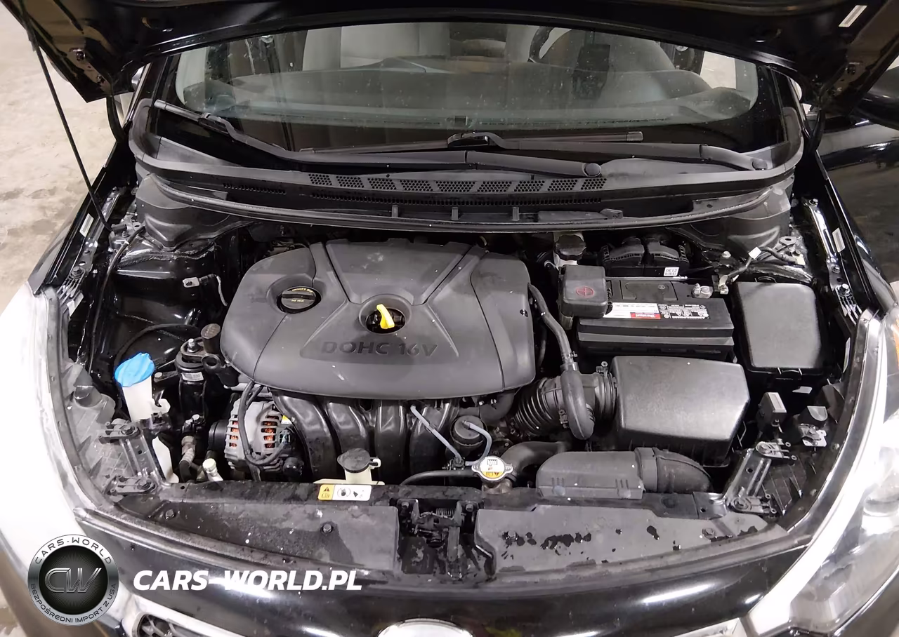 2015 Kia Forte Lx VIN:KNAFK4A68F5262825 - 10