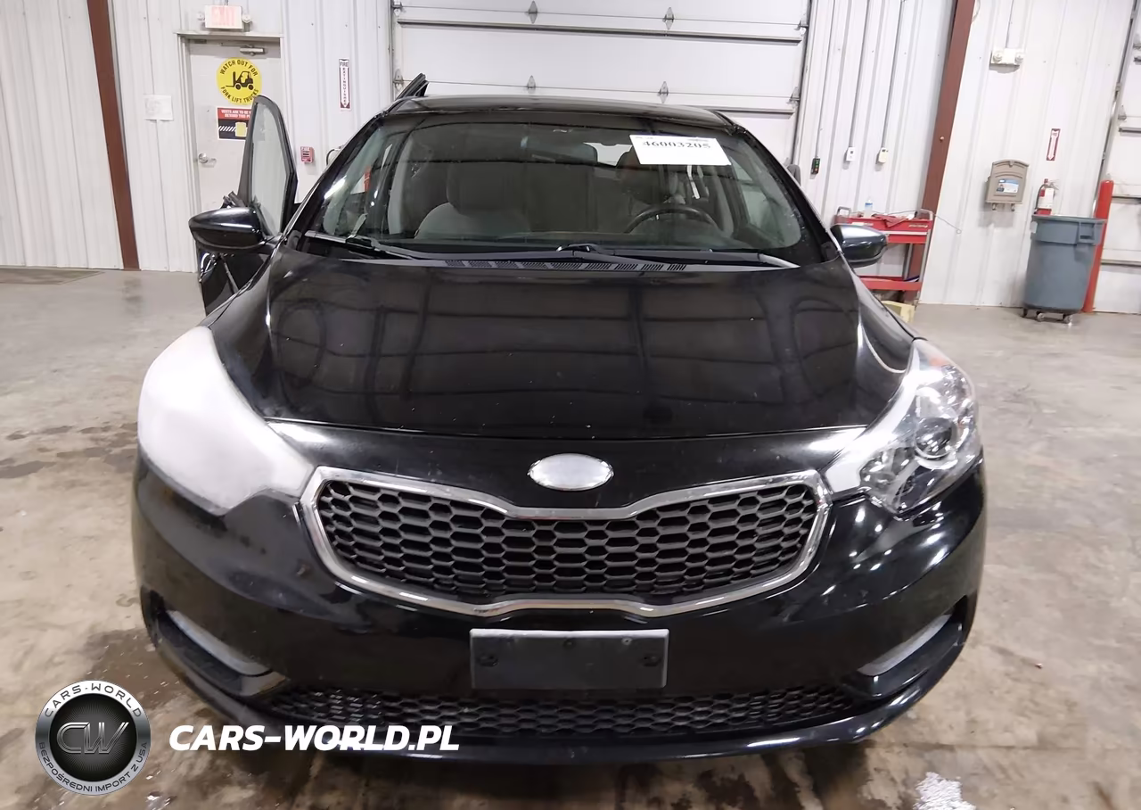 2015 Kia Forte Lx VIN:KNAFK4A68F5262825 - 13