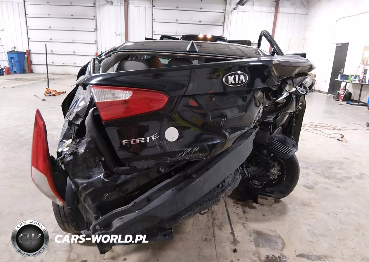 2015 Kia Forte Lx VIN:KNAFK4A68F5262825 - 17