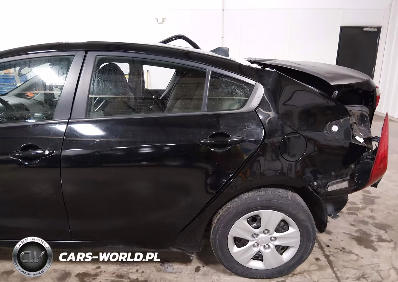 2015 Kia Forte Lx VIN:KNAFK4A68F5262825 - 19