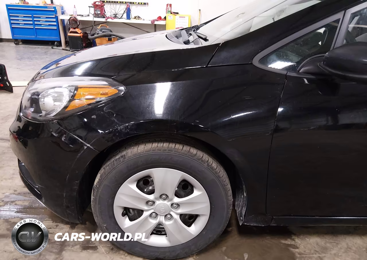 2015 Kia Forte Lx VIN:KNAFK4A68F5262825 - 20