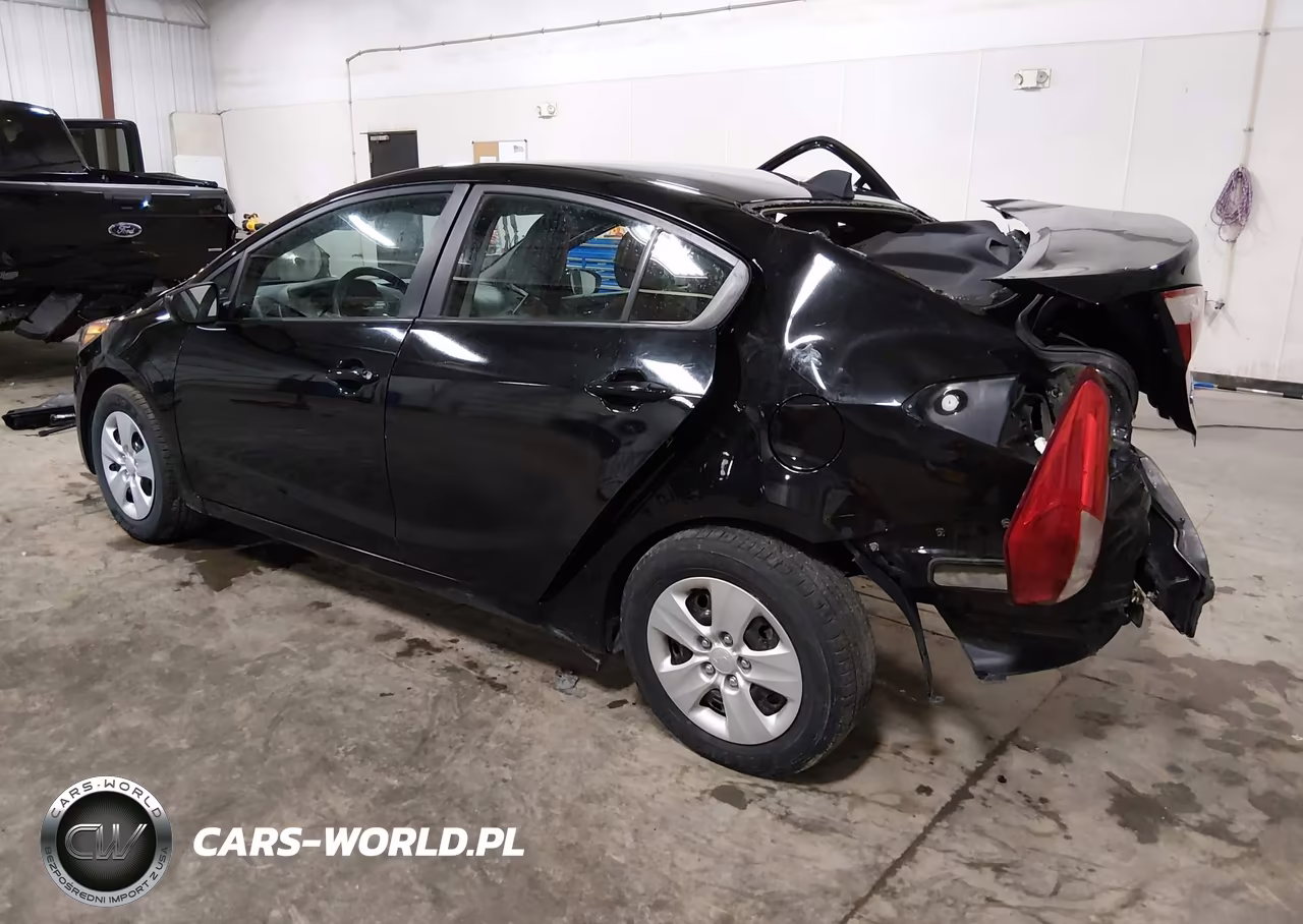 2015 Kia Forte Lx VIN:KNAFK4A68F5262825 - 3