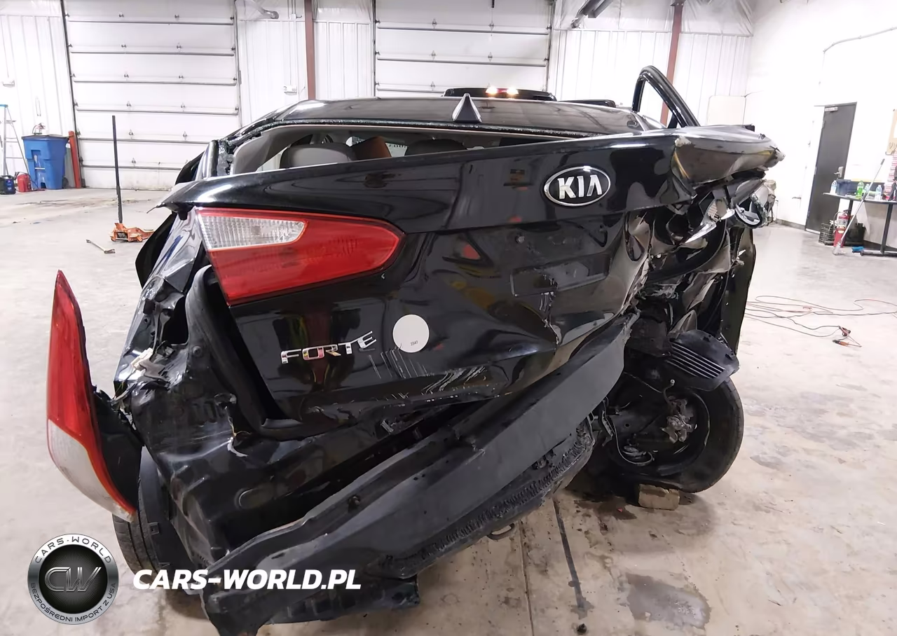 2015 Kia Forte Lx VIN:KNAFK4A68F5262825 - 6