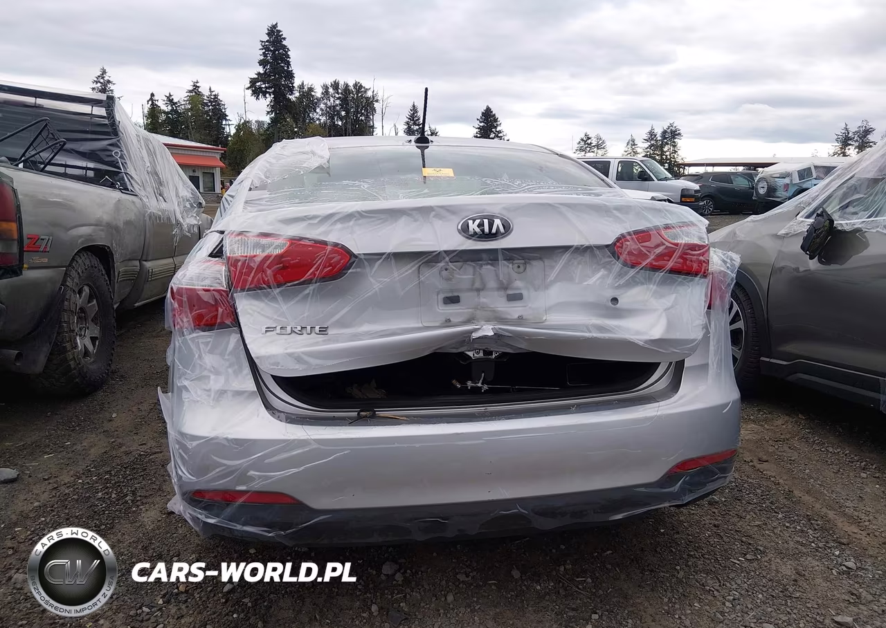 2015 Kia Forte Lx VIN:KNAFK4A67F5367274 - 18