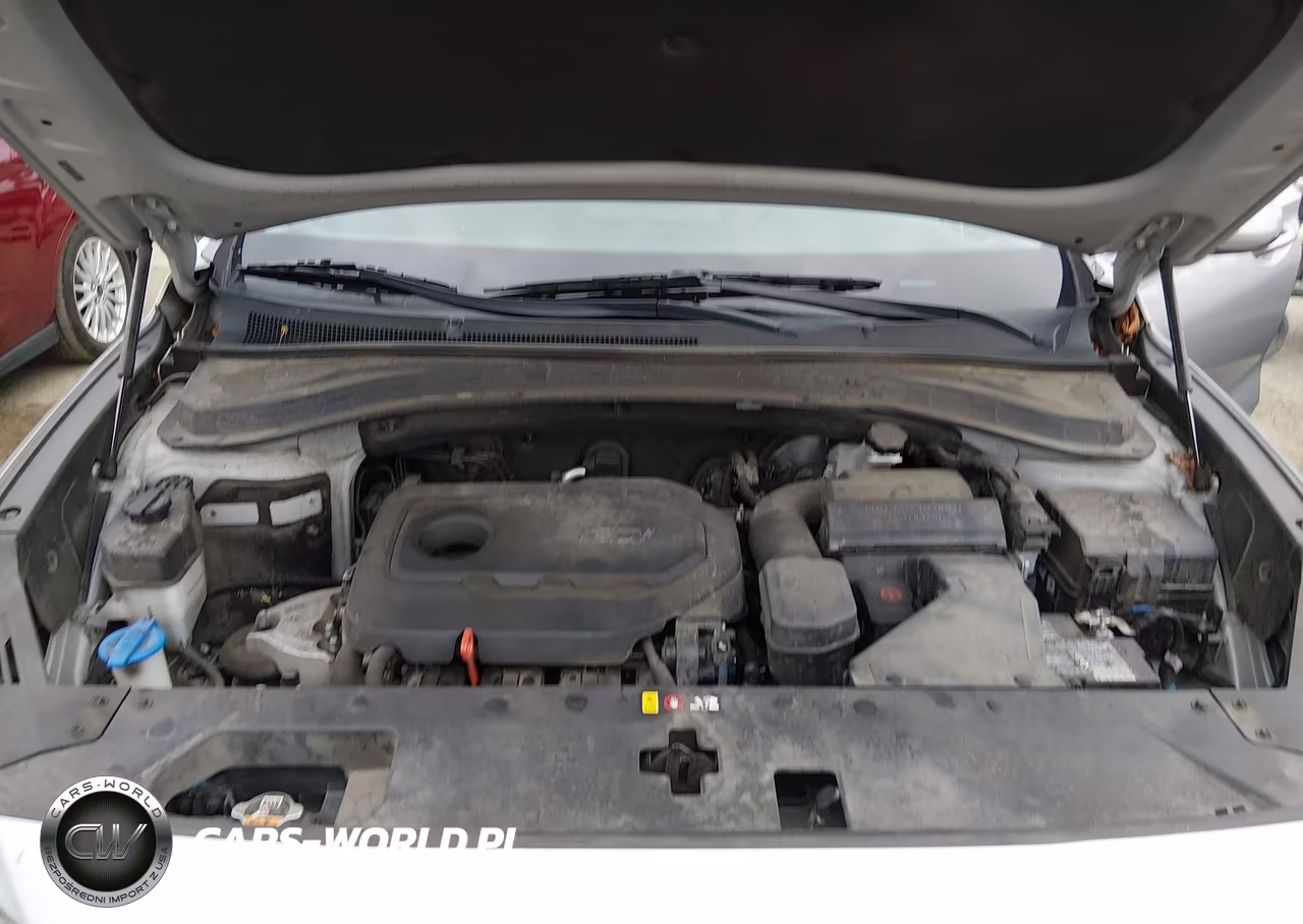 2020 Hyundai Santa Fe Sel VIN:5NMS3CAD1LH207746 - 10