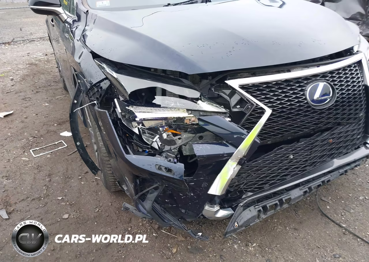 2019 Lexus Rx 450H F Sport VIN:2T2BGMCA9KC043062 - 6