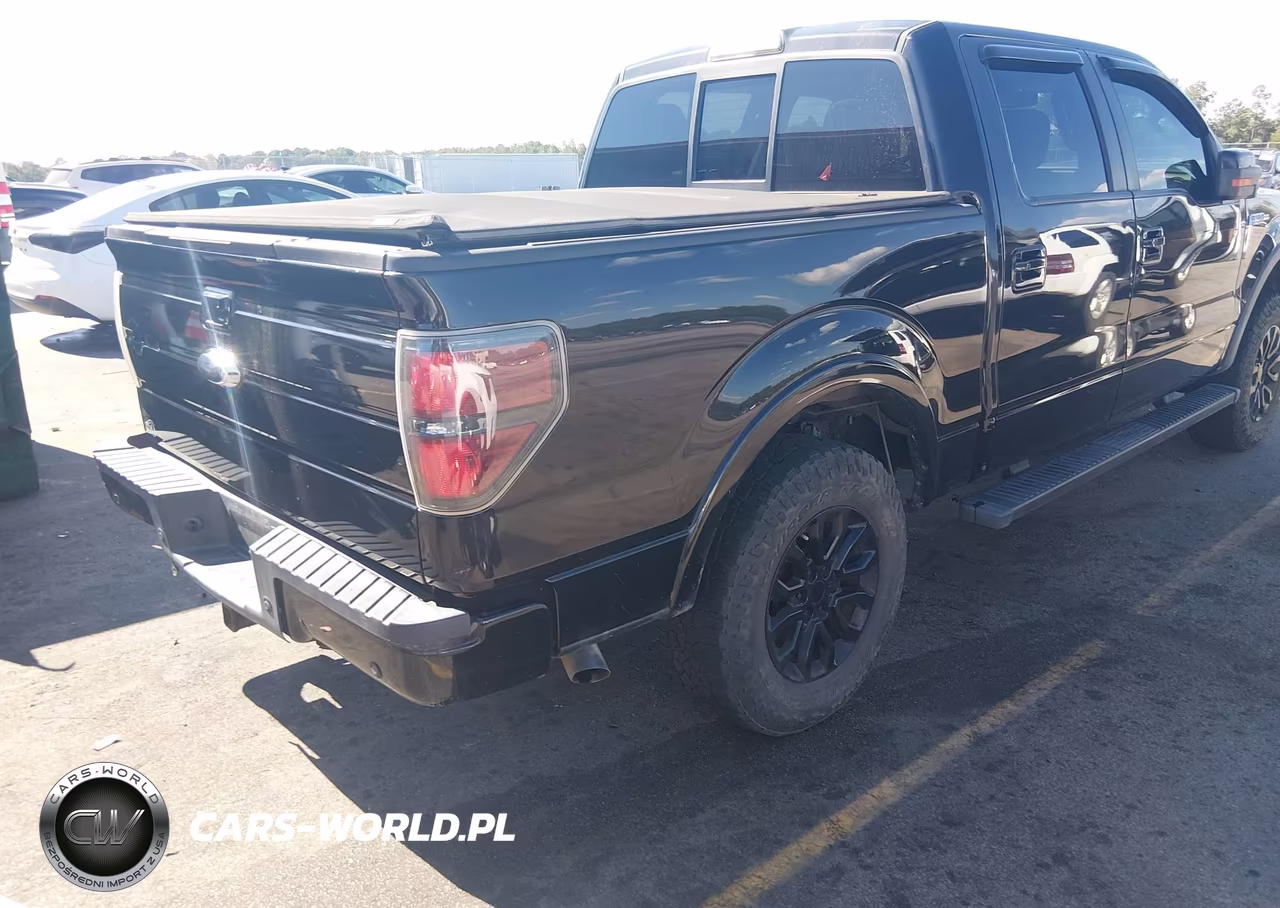 2012 Ford F-150 Fx4 VIN:1FTFW1EF0CFC46902 - 4