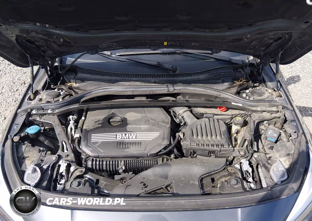 2020 BMW 228I Gran Coupe xDrive VIN:WBA73AK0XL7F80359 - 10