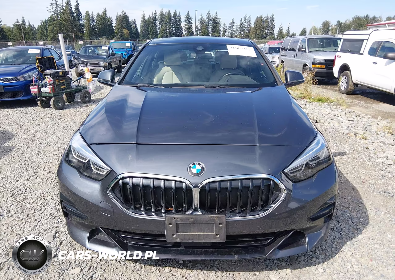 2020 BMW 228I Gran Coupe xDrive VIN:WBA73AK0XL7F80359 - 12