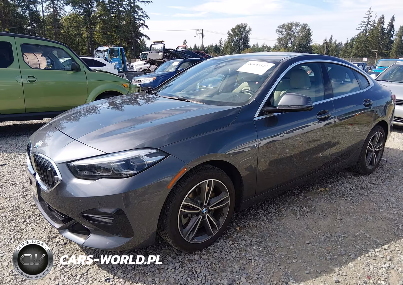 2020 BMW 228I Gran Coupe xDrive VIN:WBA73AK0XL7F80359 - 2