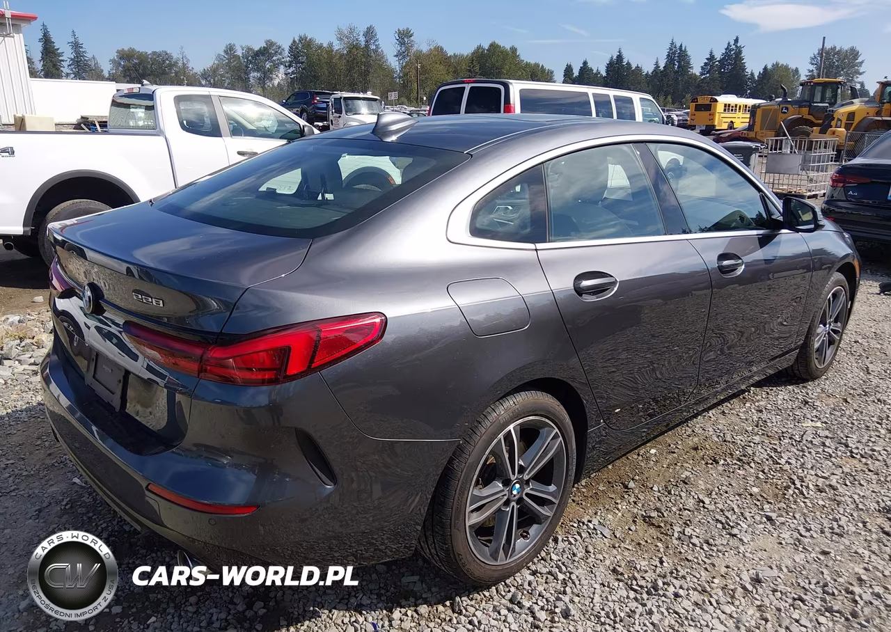 2020 BMW 228I Gran Coupe xDrive VIN:WBA73AK0XL7F80359 - 4