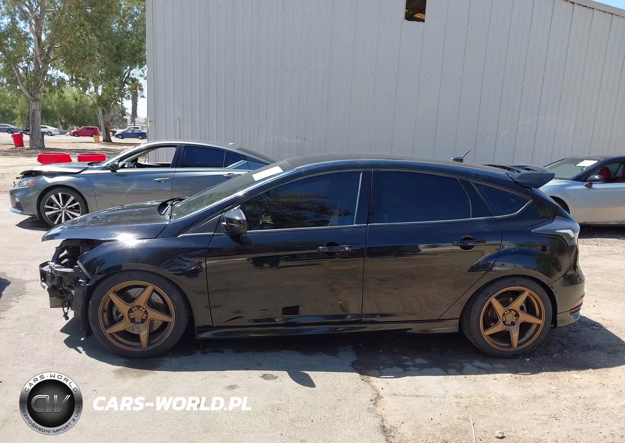 2016 Ford Focus St VIN:1FADP3L97GL327681 - 14