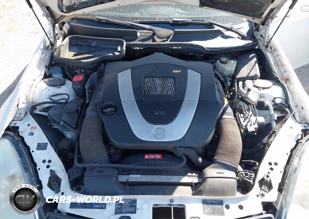 2005 Mercedes-Benz Slk 350 VIN:WDBWK56F05F040207 - 10