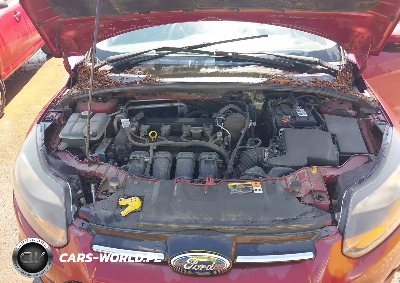 2014 Ford Focus Se VIN:1FADP3F28EL128053 - 10