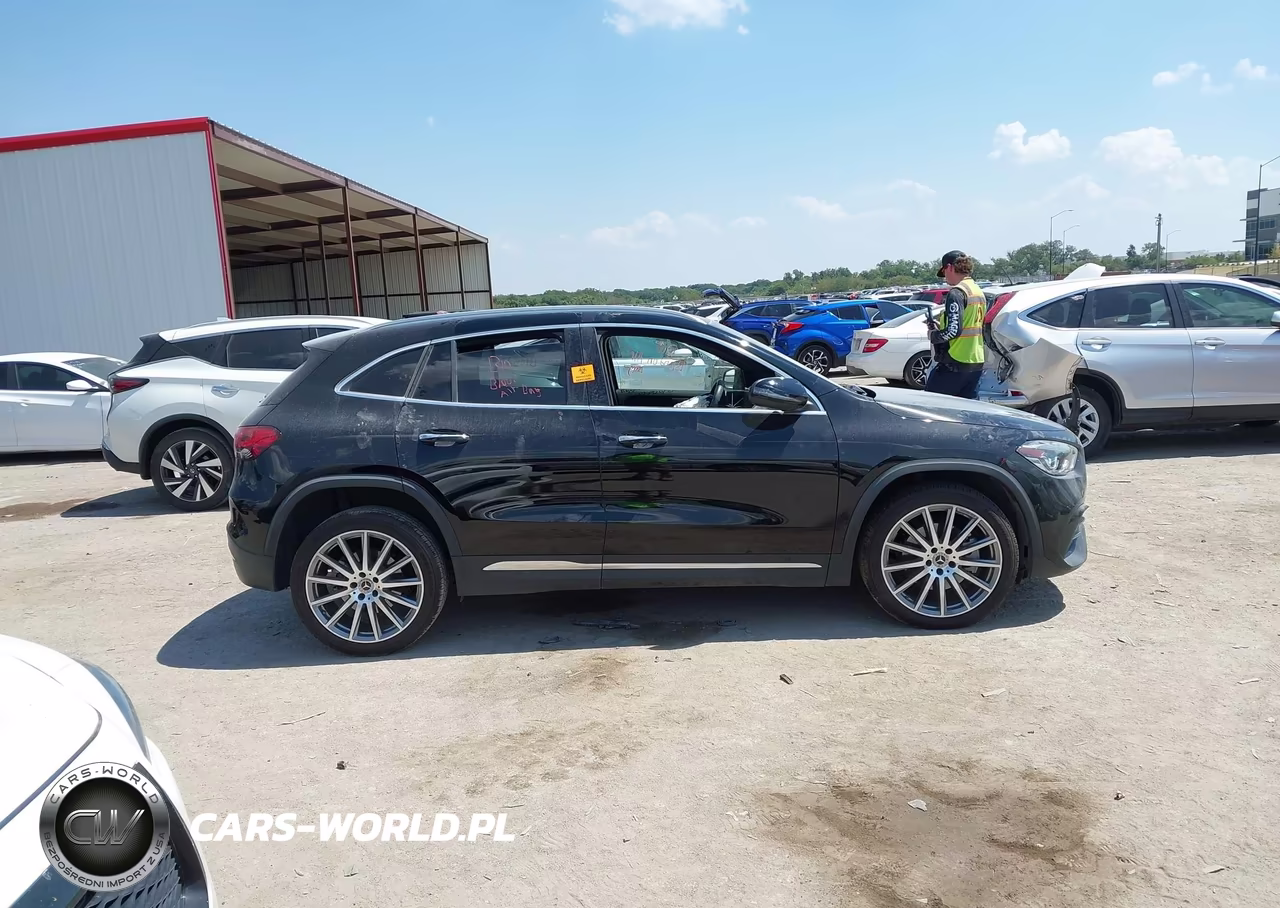 2023 Mercedes-Benz Gla 250 VIN:W1N4N4GB3PJ450286 - 10