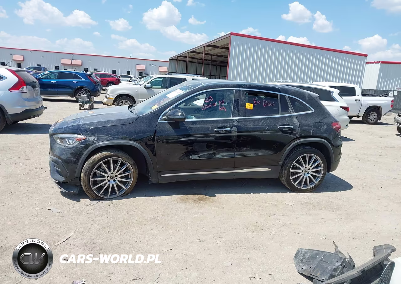 2023 Mercedes-Benz Gla 250 VIN:W1N4N4GB3PJ450286 - 11