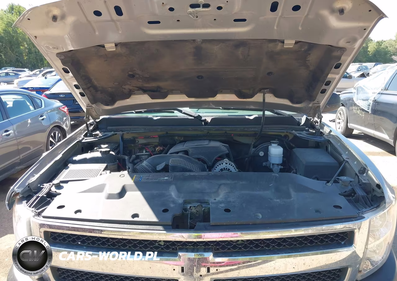 2008 Chevrolet Silverado 1500 Work Truck VIN:1GCEK19028Z195731 - 10