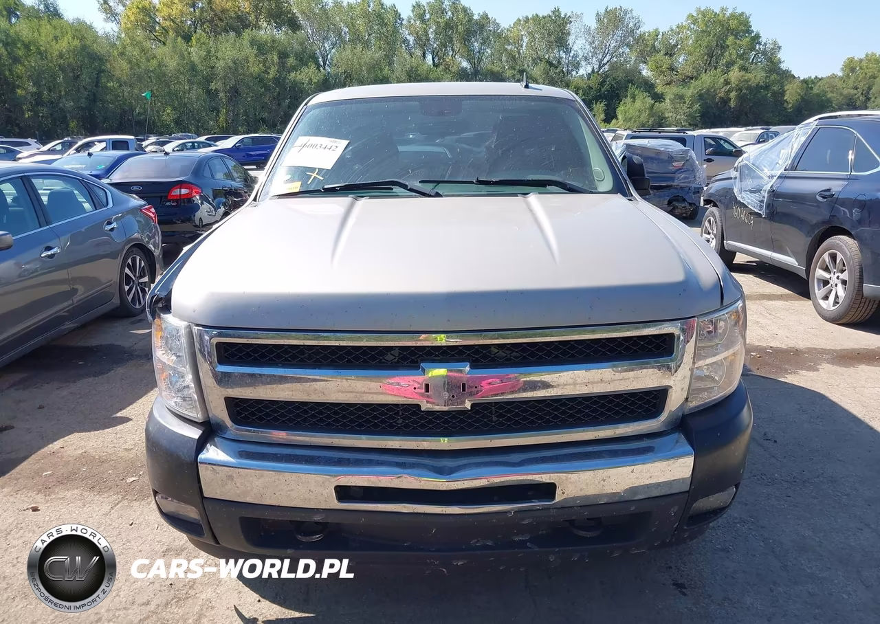 2008 Chevrolet Silverado 1500 Work Truck VIN:1GCEK19028Z195731 - 12