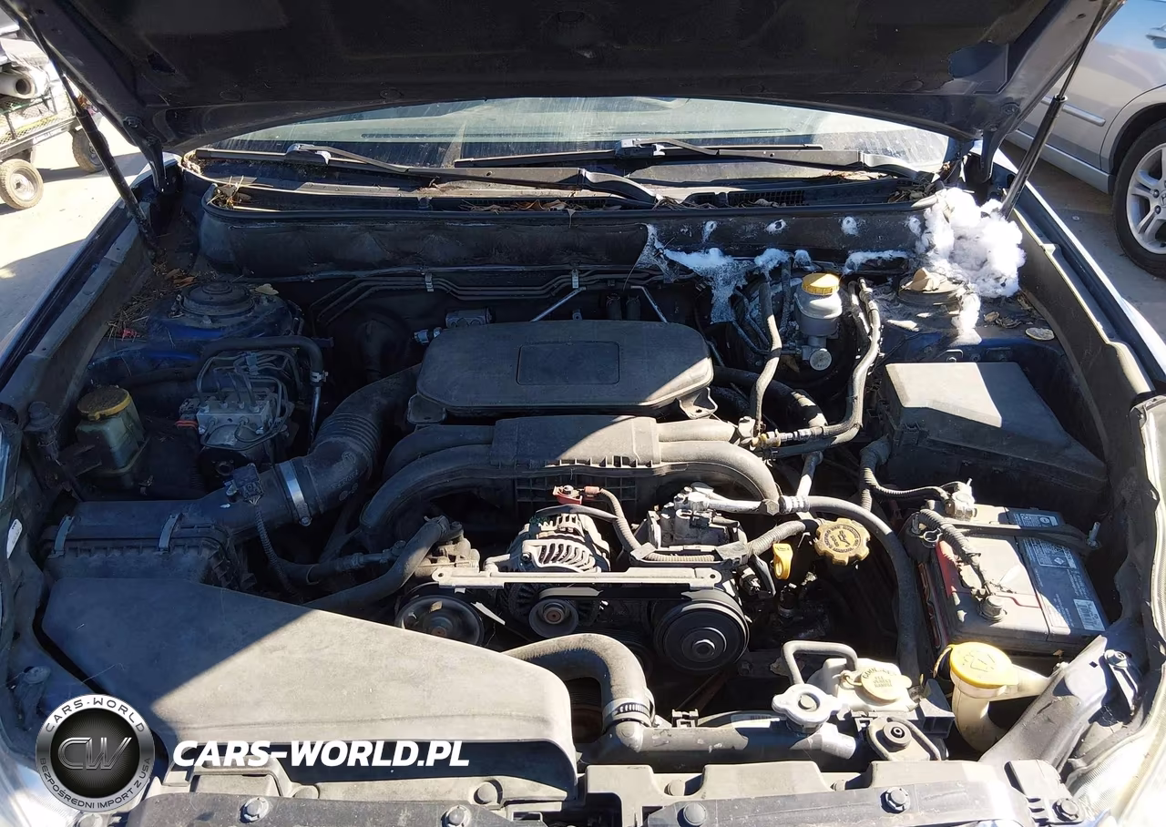 2010 Subaru Outback 2.5I Premium VIN:4S4BRCGCXA3324665 - 10